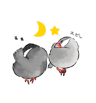 うちの文鳥はこんな感じ（個別スタンプ：2）