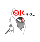 うちの文鳥はこんな感じ（個別スタンプ：3）