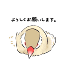 うちの文鳥はこんな感じ（個別スタンプ：5）