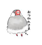 うちの文鳥はこんな感じ（個別スタンプ：8）
