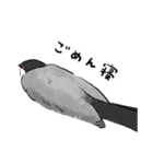 うちの文鳥はこんな感じ（個別スタンプ：9）