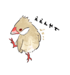 うちの文鳥はこんな感じ（個別スタンプ：10）