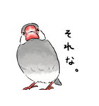 うちの文鳥はこんな感じ（個別スタンプ：11）