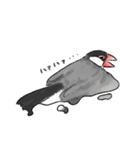 うちの文鳥はこんな感じ（個別スタンプ：13）