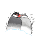 うちの文鳥はこんな感じ（個別スタンプ：14）