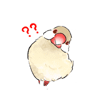 うちの文鳥はこんな感じ（個別スタンプ：15）