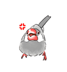 うちの文鳥はこんな感じ（個別スタンプ：16）