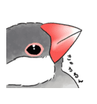 うちの文鳥はこんな感じ（個別スタンプ：17）