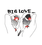 うちの文鳥はこんな感じ（個別スタンプ：18）