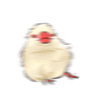 うちの文鳥はこんな感じ（個別スタンプ：21）