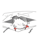 うちの文鳥はこんな感じ（個別スタンプ：22）