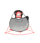 うちの文鳥はこんな感じ（個別スタンプ：23）