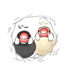 うちの文鳥はこんな感じ（個別スタンプ：24）