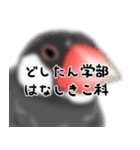 うちの文鳥はこんな感じ（個別スタンプ：25）