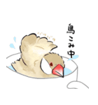 うちの文鳥はこんな感じ（個別スタンプ：27）