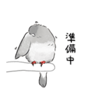 うちの文鳥はこんな感じ（個別スタンプ：28）