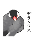 うちの文鳥はこんな感じ（個別スタンプ：32）