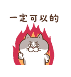 目付きの悪い猫【ねこ語2】台湾版（個別スタンプ：4）