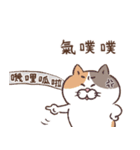 目付きの悪い猫【ねこ語2】台湾版（個別スタンプ：6）