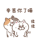 目付きの悪い猫【ねこ語2】台湾版（個別スタンプ：25）