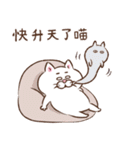 目付きの悪い猫【ねこ語2】台湾版（個別スタンプ：26）