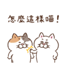 目付きの悪い猫【ねこ語2】台湾版（個別スタンプ：27）