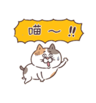 目付きの悪い猫【ねこ語2】台湾版（個別スタンプ：28）