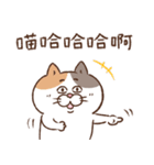 目付きの悪い猫【ねこ語2】台湾版（個別スタンプ：32）