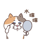 目付きの悪い猫【ねこ語2】台湾版（個別スタンプ：38）