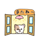 ふわもふ♡チワワ 冬★年末年始【再販】（個別スタンプ：40）