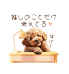 推し活☆トイプードル（個別スタンプ：20）