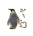 キングペンギンとコウテイペンギンのひな（個別スタンプ：33）