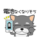 こんにチワワ★家族通信（個別スタンプ：16）