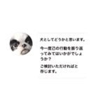 爽快！うちのいぬ（個別スタンプ：17）