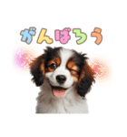 コイケルの子犬スタンプ（個別スタンプ：4）