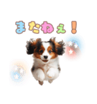 コイケルの子犬スタンプ（個別スタンプ：18）