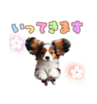 コイケルの子犬スタンプ（個別スタンプ：24）