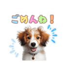 コイケルの子犬スタンプ（個別スタンプ：34）