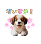 コイケルの子犬スタンプ（個別スタンプ：35）