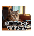 猫SEの奮闘！（個別スタンプ：9）