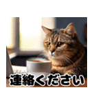 猫SEの奮闘！（個別スタンプ：27）