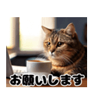 猫SEの奮闘！（個別スタンプ：29）