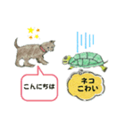 カメカメ仲良し（個別スタンプ：1）