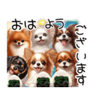 ❤️かわいい犬達からの思いやり言葉❤️（個別スタンプ：1）