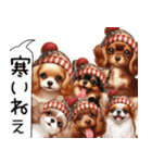 ❤️かわいい犬達からの思いやり言葉❤️（個別スタンプ：3）