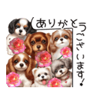 ❤️かわいい犬達からの思いやり言葉❤️（個別スタンプ：11）