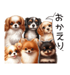 ❤️かわいい犬達からの思いやり言葉❤️（個別スタンプ：17）