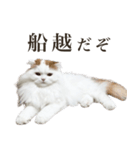 船越もこた【船越ver】（個別スタンプ：1）