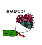 サボテンと花のスタンプ（個別スタンプ：6）