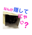 ぐーたらにゃんズ（個別スタンプ：27）